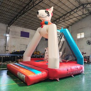 bullterrier avec obstacles