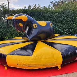 Rodéo Cordes Gonflable - Challenge Équilibre