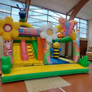 Parcours Gonflable Fun'insect Occasion - Insectes Rigolo